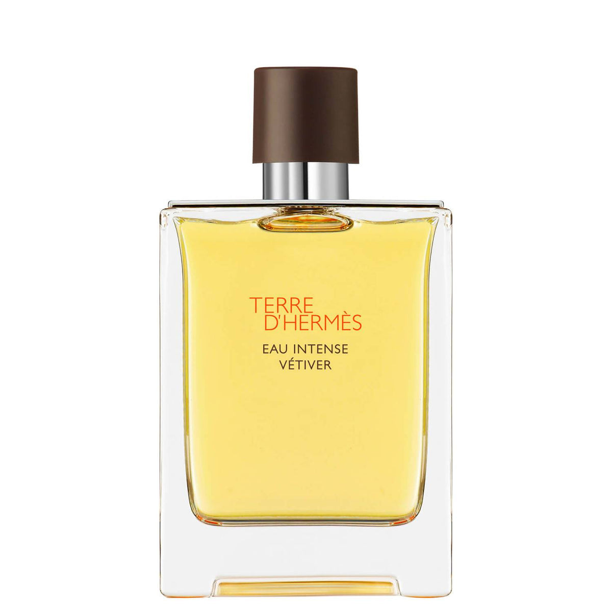 Hermes, Terre d'Hermes Eau Intense Vetiver, Eau De Parfum, For Men, 100 ml