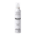 Noah, Modelling Mousse, Hair Styling Mousse, Hydrating & Nourishing, Strong, 250 ml
