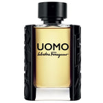 Salvatore Ferragamo, Uomo, Eau De Toilette, For Men, 100 ml